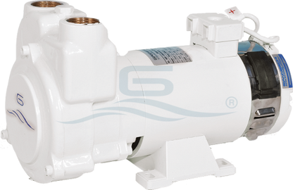 Gianneschi CP26