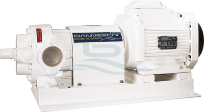 Gianneschi PQ 20